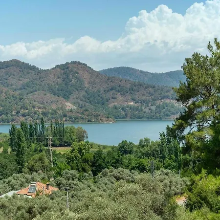 Enchanting Forest With Lake View Villa *